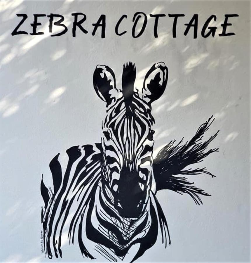 Zebra Pretoria-Noord